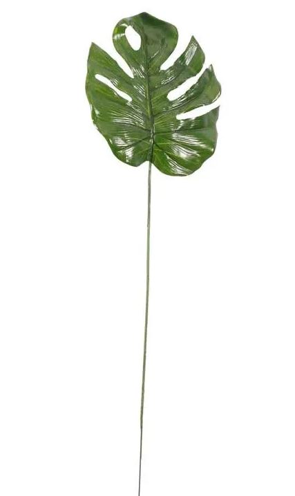 Kunst monstera tak